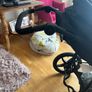 Running Buggy Image 2