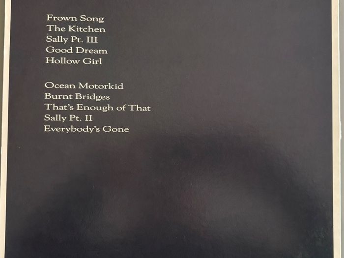 Downy Mildew - Broomtree. Debut album from California band. US Pressing. Lp is mint. Band details below. Bargain!