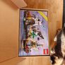 Lego 10320 Eldorado Fortress Image 2