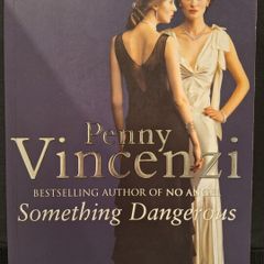 SALE!  Something Dangerous by Penny Vincenzi