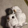 Royal Osborne White Bone China Ornament  Pair Of Owls / Mother & Baby Image 6