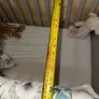 Baby/Toddler Cot Image 8