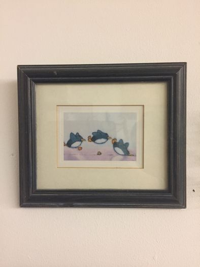 Penguin pictures