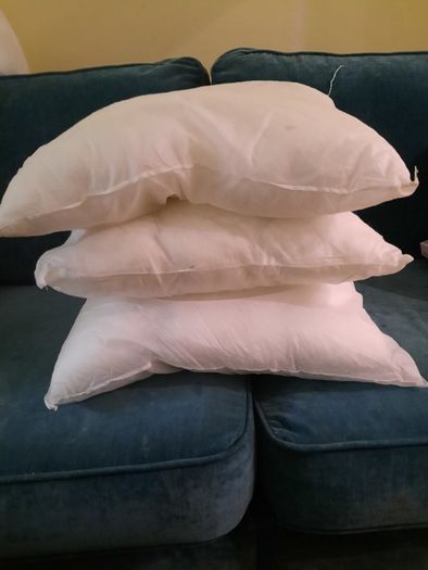 Cushion inserts