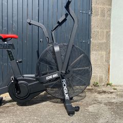 Rogue Echo Bike