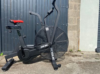 Rogue Echo Bike
