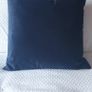 Velvet cushion Image 2