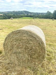 Round bales of Hay