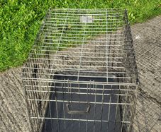 Dog crate : Large-Savic