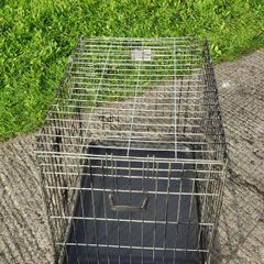 Dog crate : Large-Savic