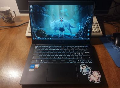 MSI Modern 14 C12M laptop