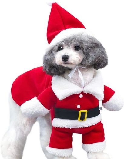 Cat Christmas Outfit, Christmas Pet Clothes Dog Cat Christmas Costume Santa Claus Pet Hoodie Coat for Small Medium Dogs Cats (M Size)