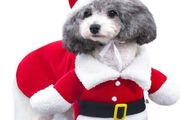 Cat Christmas Outfit, Christmas Pet Clothes Dog Cat Christmas Costume Santa Claus Pet Hoodie Coat for Small Medium Dogs Cats (M Size)