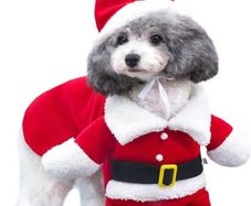 Cat Christmas Outfit, Christmas Pet Clothes Dog Cat Christmas Costume Santa Claus Pet Hoodie Coat for Small Medium Dogs Cats (M Size)