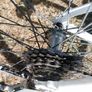 hybrid bike Image 3