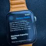 Apple Watch Stainless Steel Series 5 - 44mm - LTE & GPS Image 6