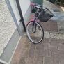 Girls 24" bike Image 3
