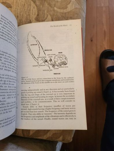 The Behaviour Of Horses. In Relation To Managment And Training.  By Dr Marthe Kiley-worthington. First Edition Hardback With Dustjacket In Good Condition.