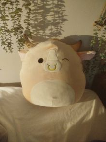squishmallow