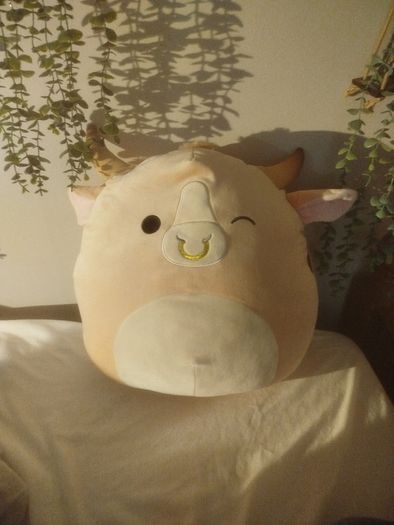 squishmallow