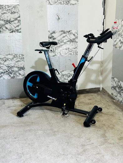 Large 20kg Wheel Bodymax Exercise Bike Life Time