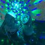 Mini moving head X 2 Image 3