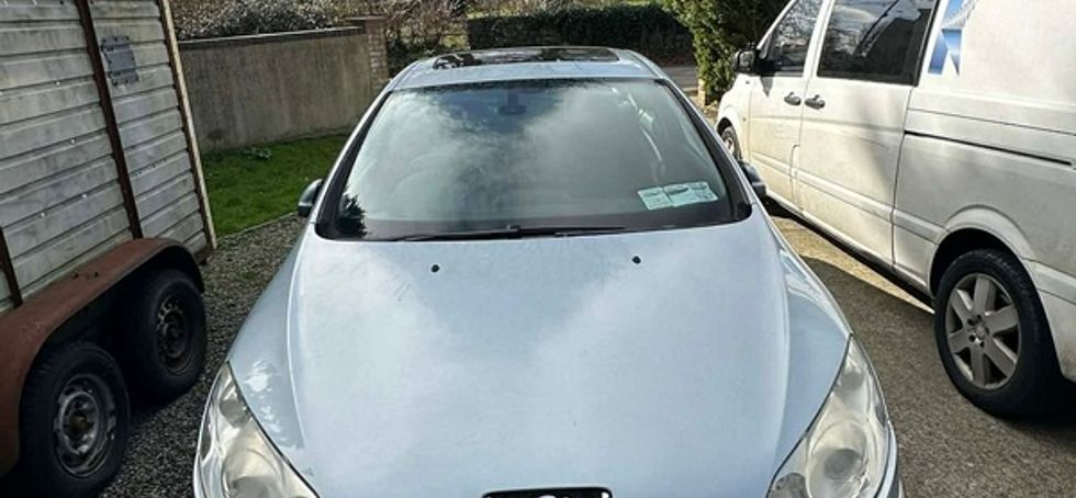 2009 Peugeot 407