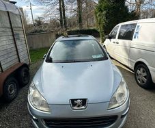 2009 Peugeot 407