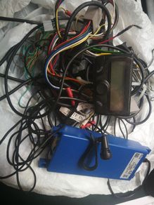Parrot ck3100