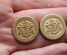 7/8" 22.4mm 36L Italian Matt Gold Crest / Military Buttons