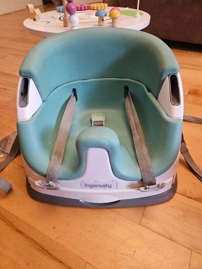 Ingenuity baby seat