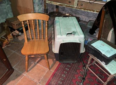 Large dog crate L90, dog carrier.  Dun Laoghaire