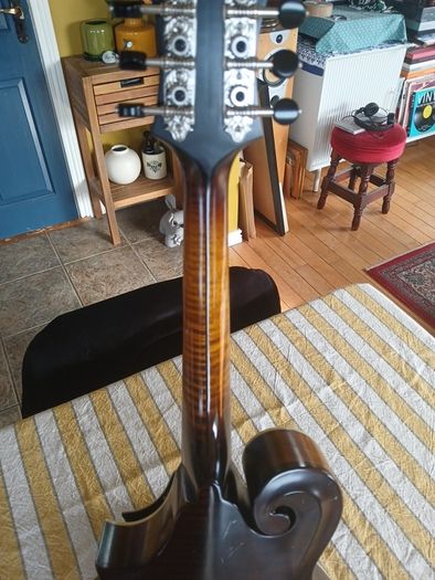 Coostar F5 Mandolin