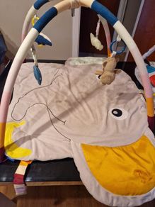 Baby Play Mat