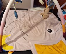Baby Play Mat