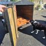 Covered / Dog / Small Trailer. Image 5