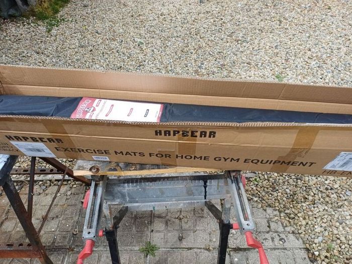 Large Hapbear Excercise Mat