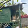 Wendy house/tree house Image 3