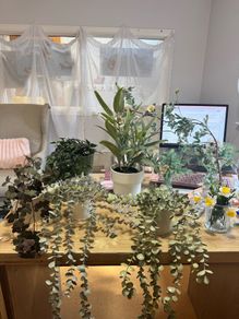Collection of fake plants and pots