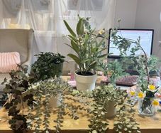 Collection of fake plants and pots