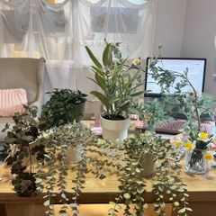 Collection of fake plants and pots