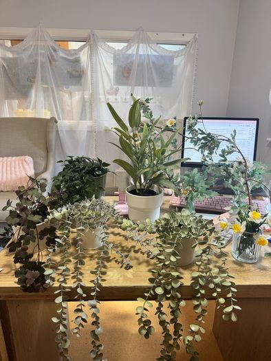 Collection of fake plants and pots