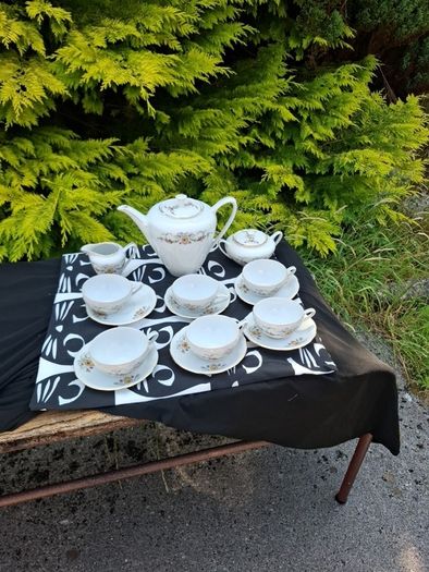 China delicate porcelain tea set postage possible