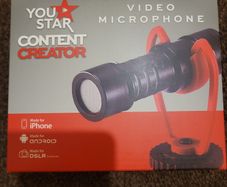 video microphone
