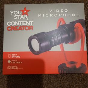 video microphone