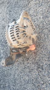 Alternator Nissen Almeria working 2006