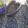 Plants and Glazed pots Image 3