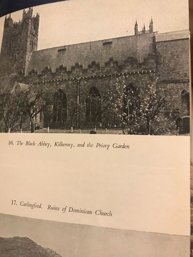 Rare 1st Edition-The Irish Dominicans