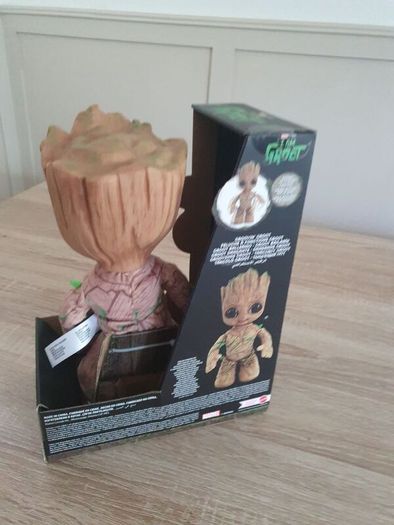 Groot