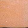 Selection of Stems & Crowns in box Image 2